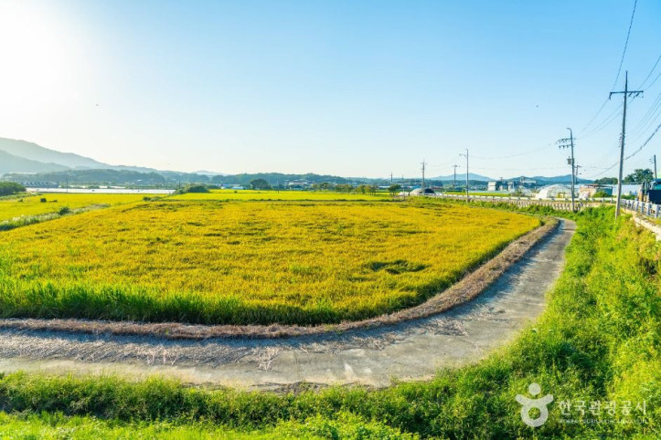 이천_부래미마을_5_공공1유형.jpg