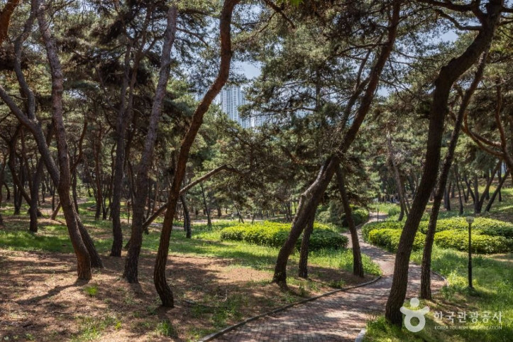 솔밭공원_5_공공1유형.jpg