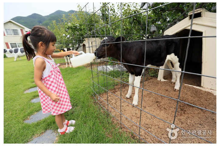 애심목장_4_공공3유형.jpg