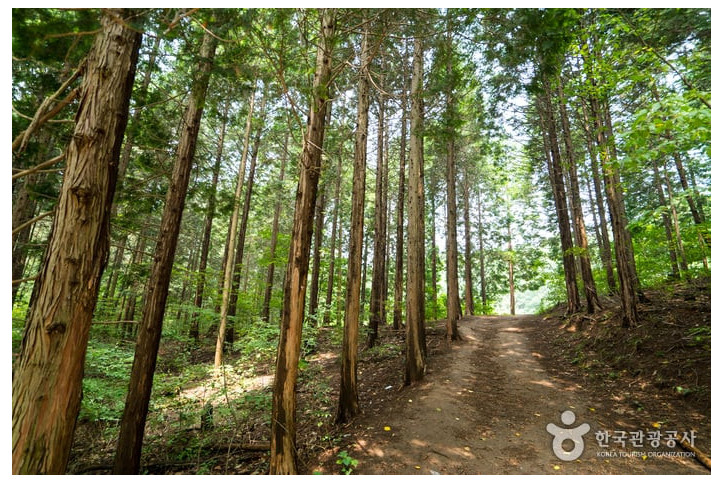 축령산자연휴양림_1_공공3유형.jpg