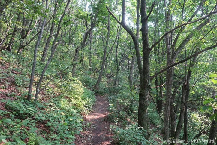 오대산국립공원_3_공공3유형.jpg