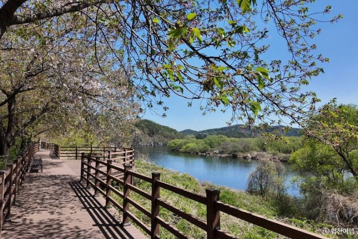 백리벚꽃길_4_공공3유형.jpg
