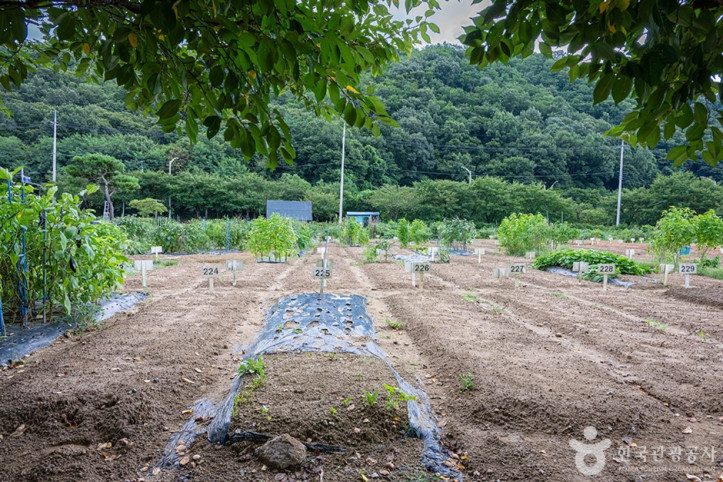 원두막주말농장_4_공공3유형.jpg