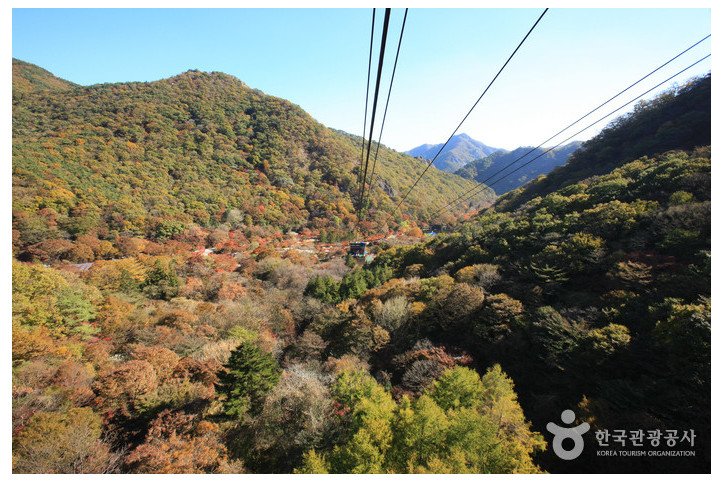 내장산_케이블카_6_공공3유형.jpg