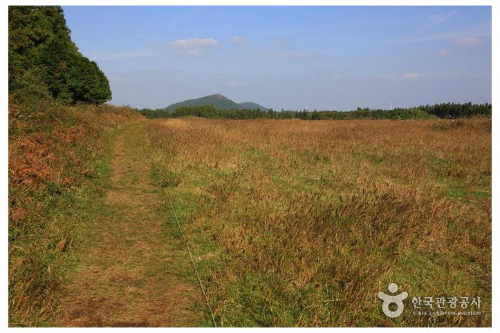 거문오름_9_공공3유형.jpg