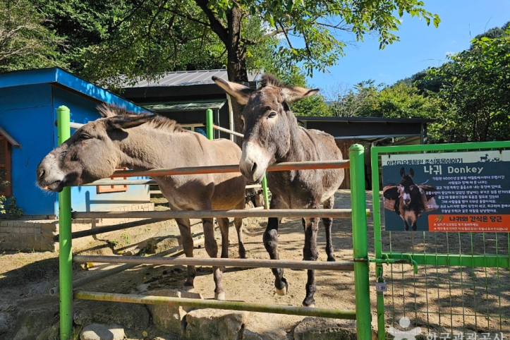 아침고요가족동물원_7_공공3유형.jpg