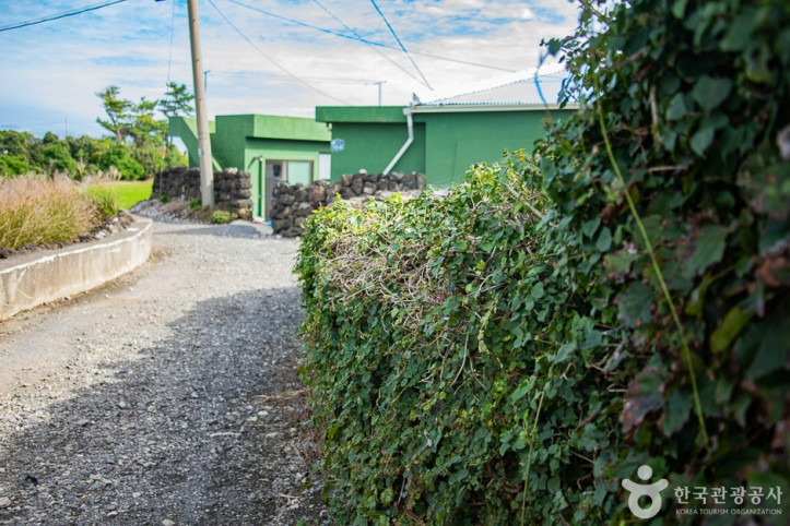 감수굴_밭담길_5_공공3유형.jpg