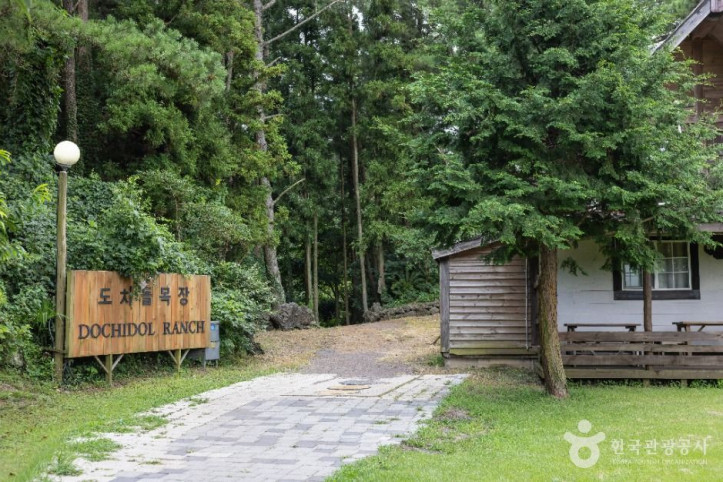 도치돌_알파카목장_4_공공1유형.jpg