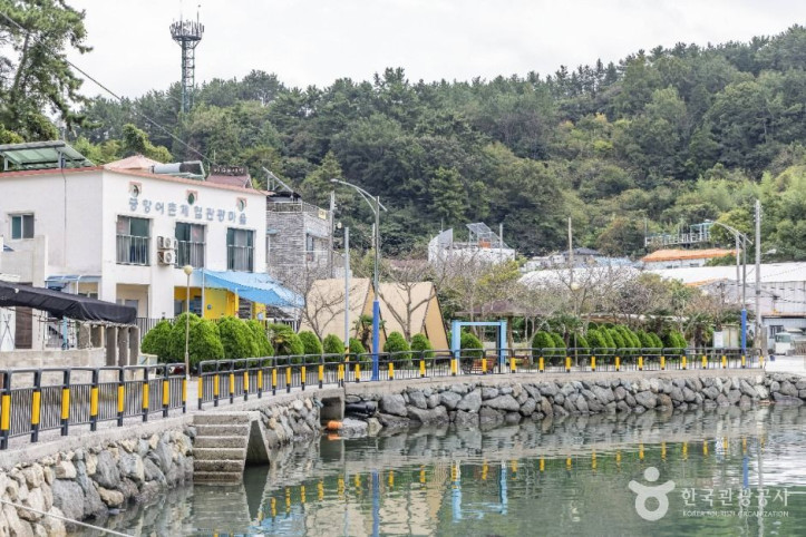 궁항어촌체험마을_6_공공1유형.jpg