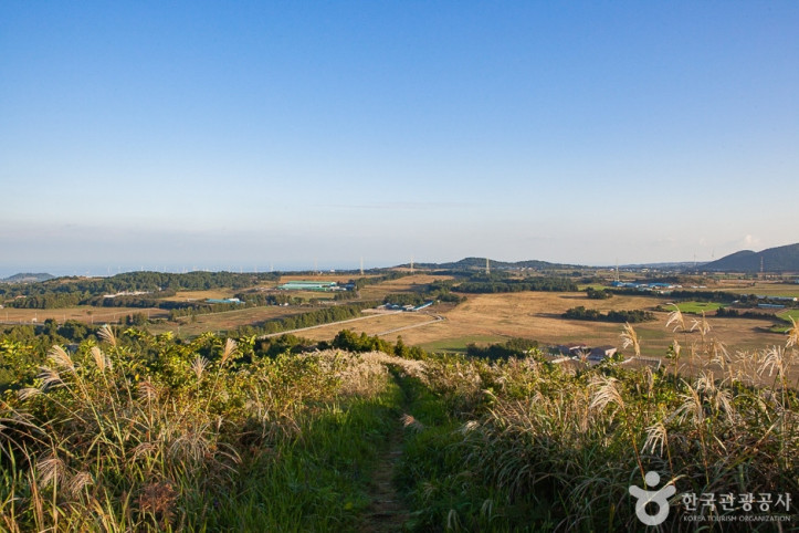 정물오름_4_공공3유형.jpg