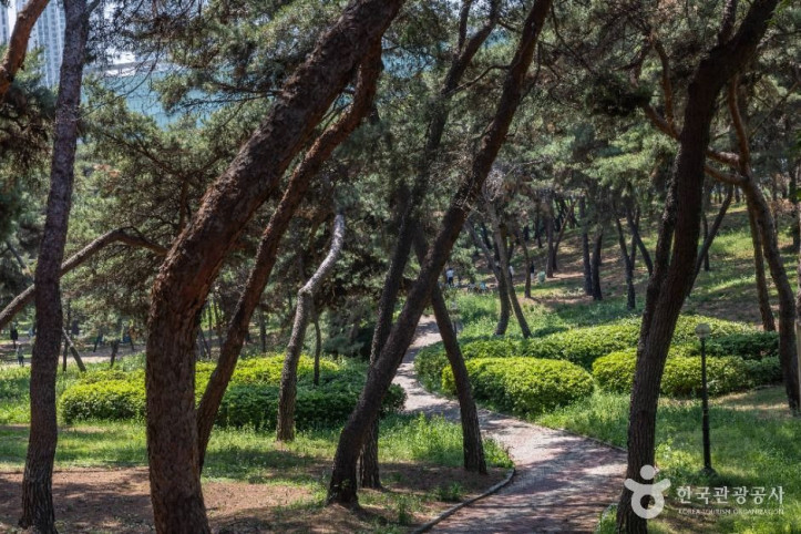 솔밭공원_2_공공1유형.jpg