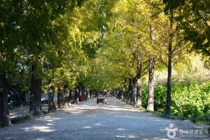 담양_메타세쿼이아길_2_공공3유형.jpg