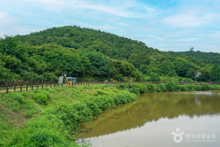 창평지_친환경_생태공원_2_공공1유형.jpg
