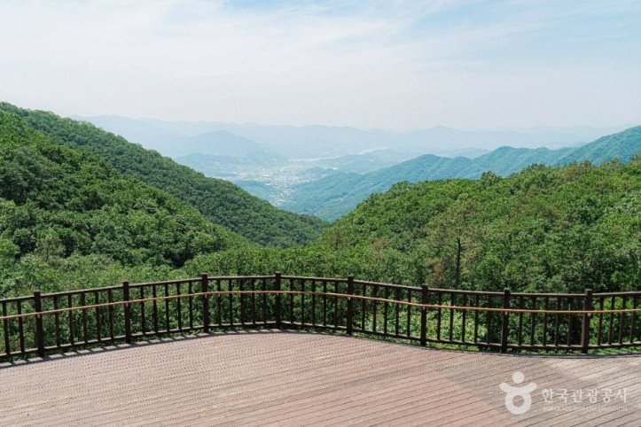 설매재자연휴양림_3_공공1유형.jpg