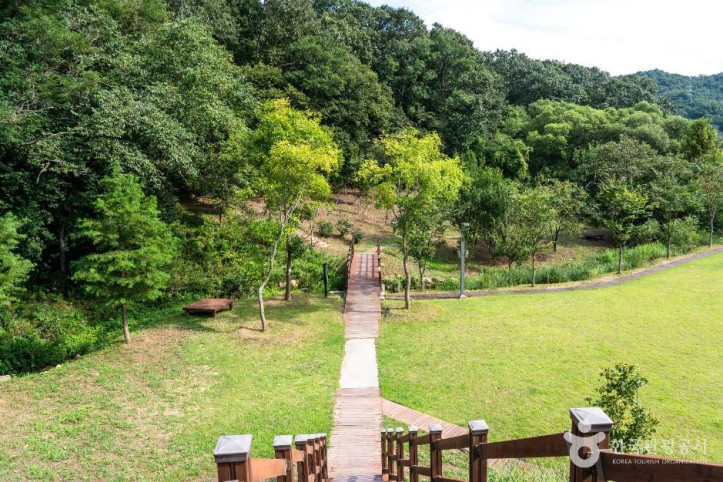 대전_치유의_숲_1_공공1유형.jpg
