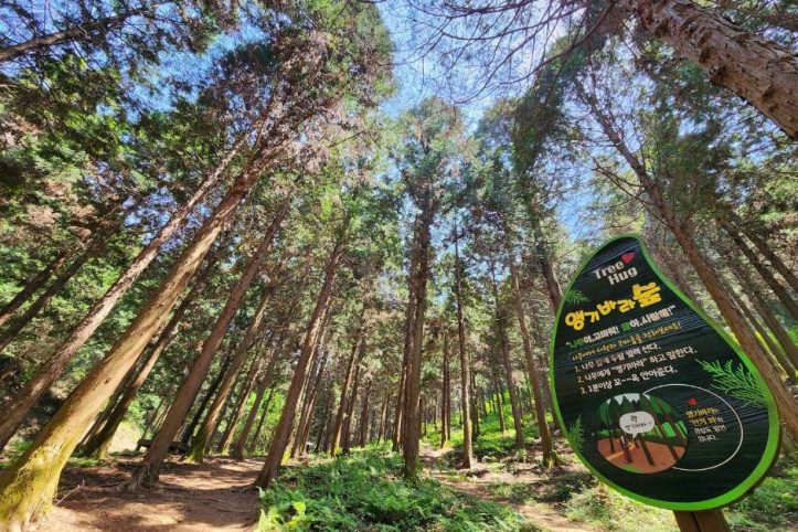 갈모봉_산림욕장_7_공공3유형.jpg