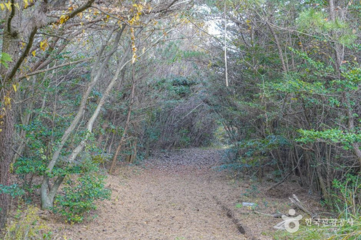 미악산_2_공공1유형.jpg