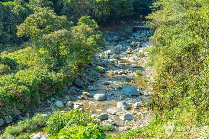 고운동계곡_1_공공1유형.jpg