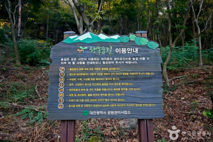 보문산_행복_숲_둘레길_5_공공3유형.jpg