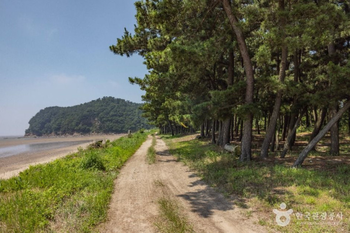 볼음도_5_공공1유형.jpg
