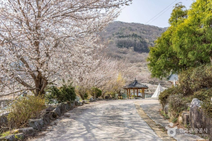 순천_향매실마을_6_공공1유형.jpg