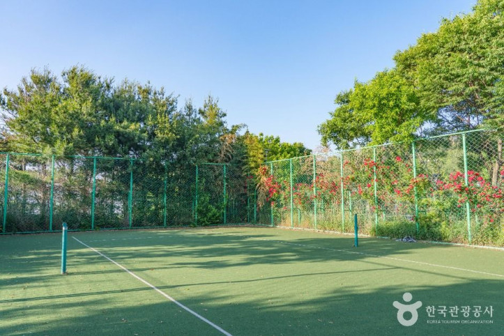 서탄금암체육공원_4_공공1유형.jpg