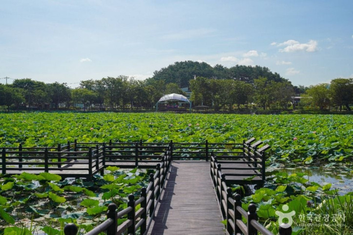 강주연못_1_공공1유형.jpg