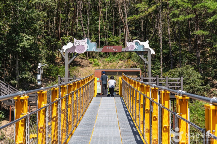 월영산_출렁다리_2_공공3유형.jpg