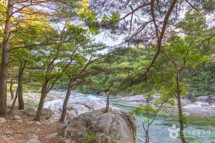 도원리계곡_2_공공1유형.jpg