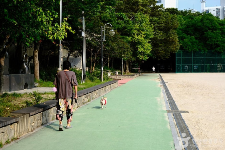 노해체육공원_1_공공3유형.jpg