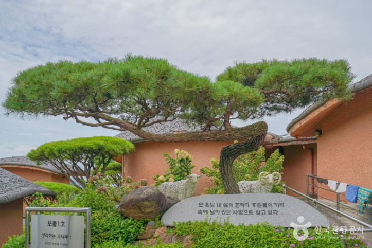 보성_골망태다원_4_공공1유형.jpg