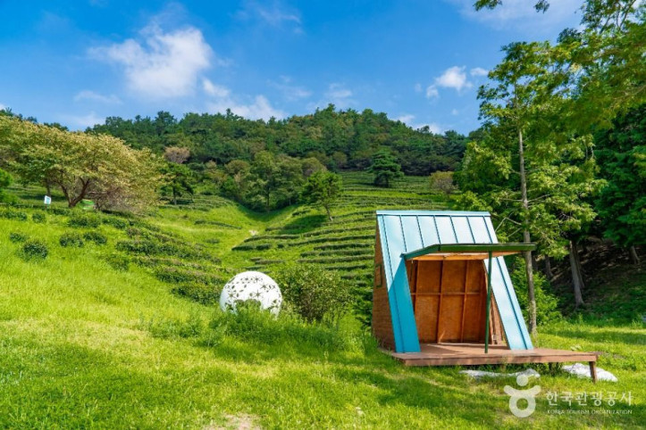한국차문화공원_7_공공1유형.jpg