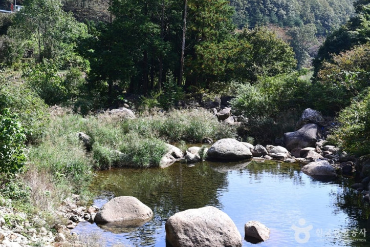 백운산_동곡계곡_5_공공3유형.jpg