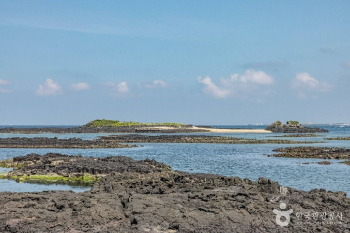 제주_토끼섬_문주란_자생지_3_공공1유형.jpg