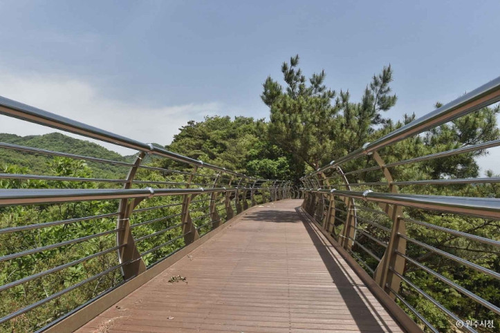 소금산_스카이워크_브릿지_2_공공3유형.jpg