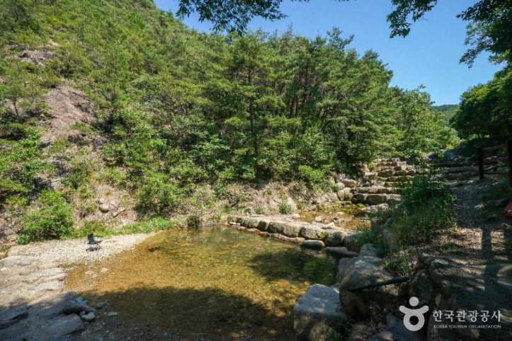 화원자연휴양림_4_공공1유형.jpg