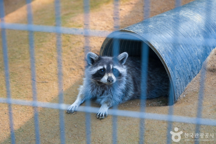 인천대공원_어린이동물원_1_공공3유형.jpg