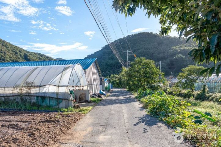은골구기자마을_8_공공1유형.jpg