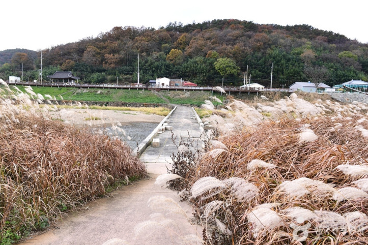 함평_고막천_석교_4_공공3유형.jpg