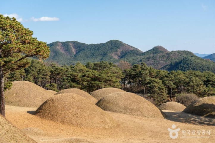 합천_옥전_고분군_2_공공1유형.jpg