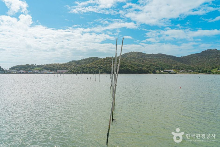 진도_접도어촌체험마을_6_공공1유형.jpg
