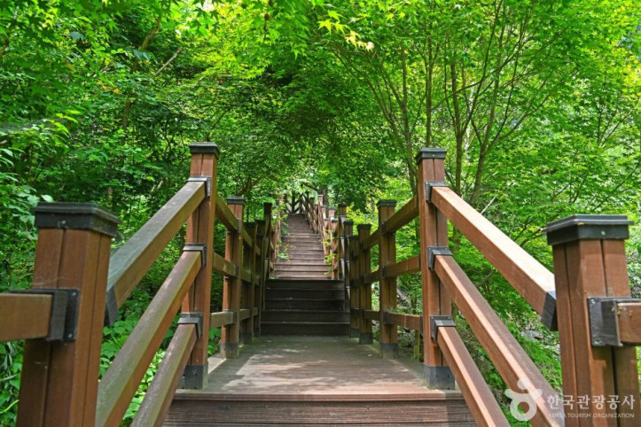 생거진천_자연휴양림_7_공공3유형.JPG