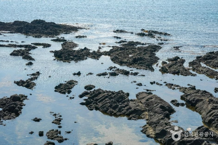 구룡포_주상절리_1_공공1유형.jpg
