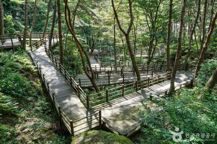치유의숲_무장애길_1_공공3유형.JPG