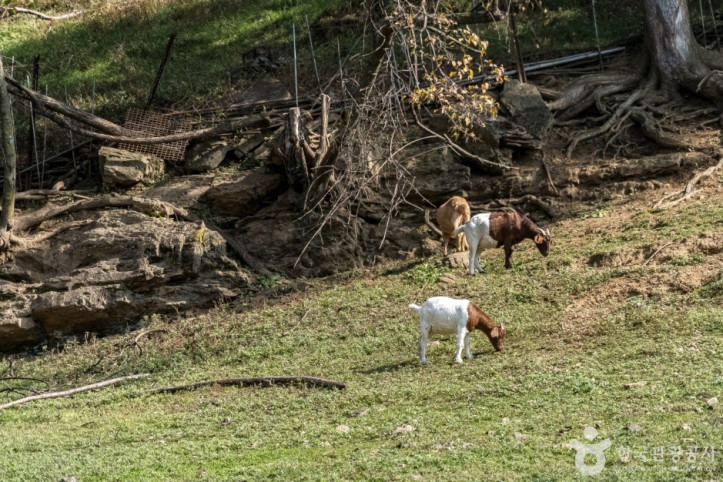 하늘마루염소목장_3_공공3유형.jpg