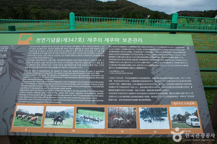 제주마방목지_3_공공3유형.jpg
