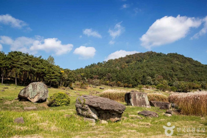고창_고인돌_유적_[유네스코_세계유산]_4_공공1유형.jpg