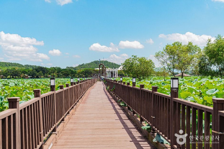 무안회산백련지_2_공공1유형.jpg