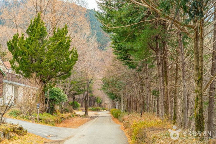 무등산편백자연휴양림_6_공공1유형.jpg