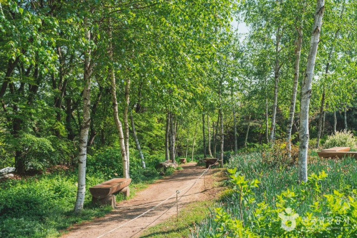 대모산숲속야생화원_1_공공1유형.jpg